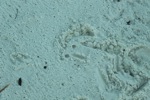 resIMG_20140617_184658_2511.JPG